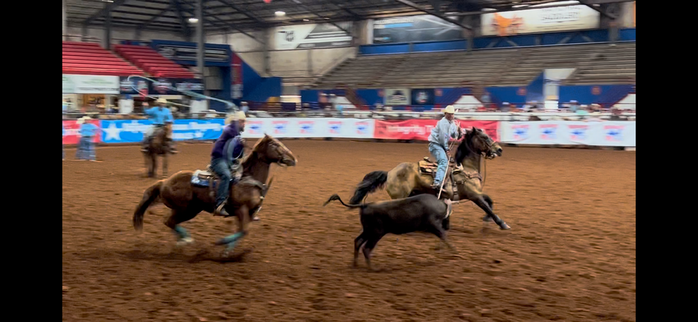 <h2>Featured Reviews!</h2>