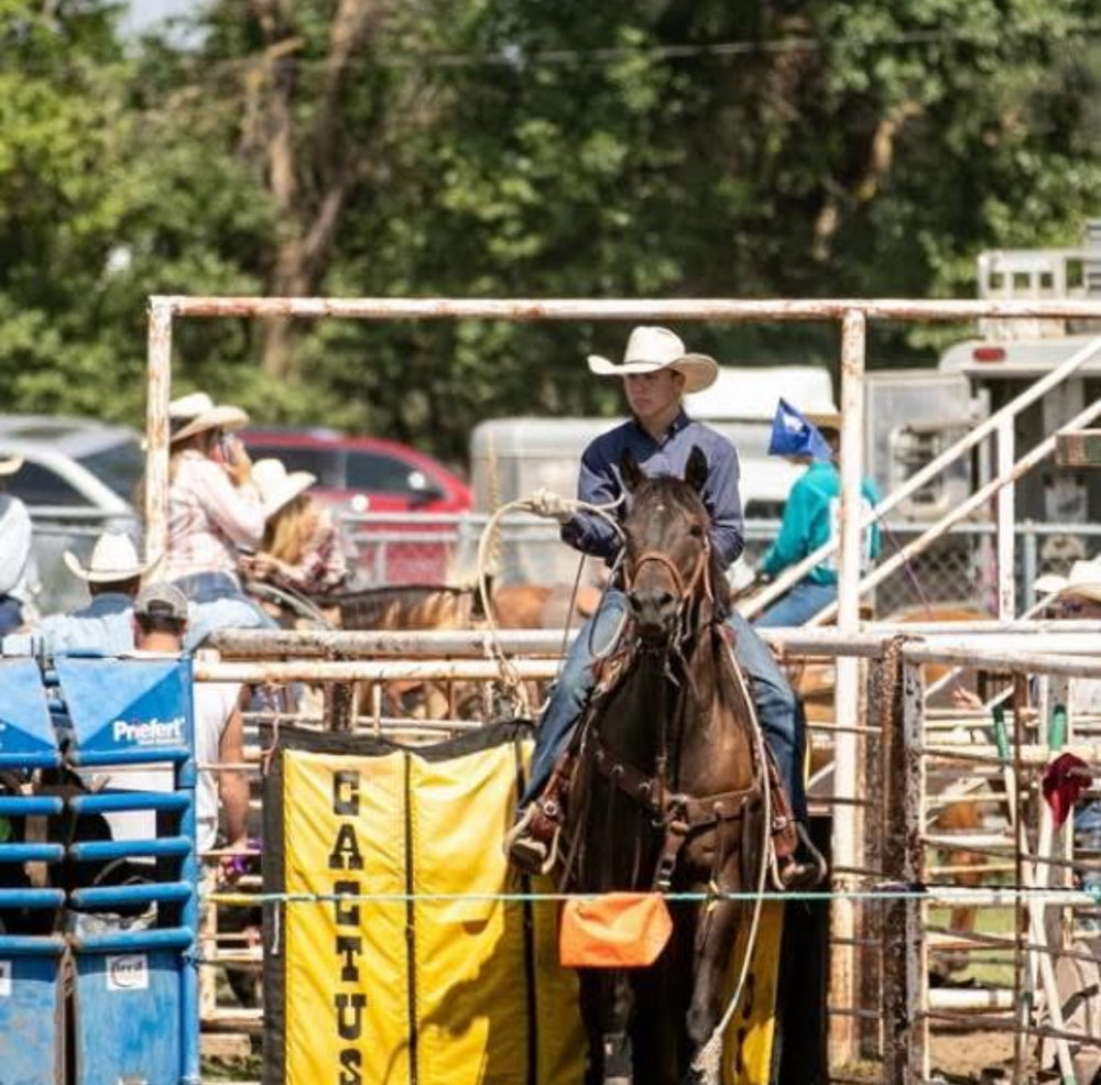 <h2>Featured Reviews!</h2>